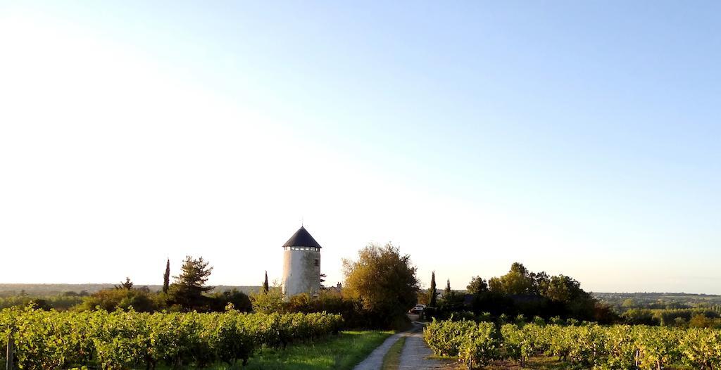 La Tour du Moulin Géant Bed and Breakfast Rochefort-sur-Loire Exterior foto