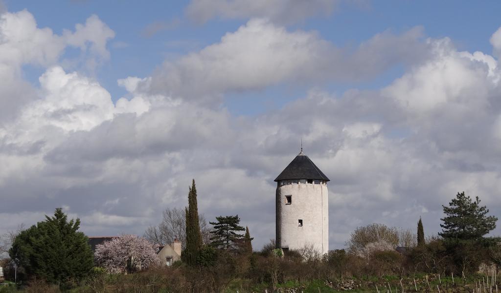 La Tour du Moulin Géant Bed and Breakfast Rochefort-sur-Loire Exterior foto