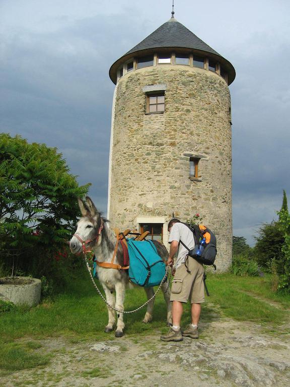 La Tour du Moulin Géant Bed and Breakfast Rochefort-sur-Loire Exterior foto